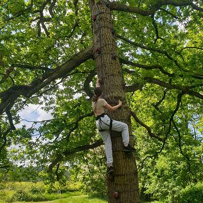 Tree Climbing