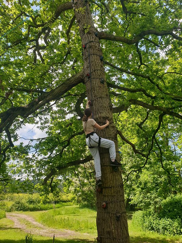 Tree Climbing