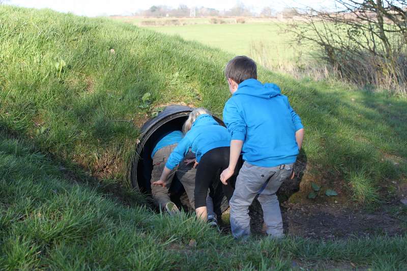 mojo active low ropes