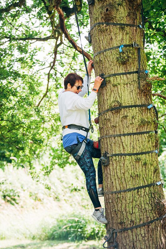 Tree Climbing